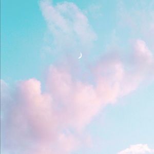 Meet your Posher, Ella